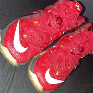 nike lebron 12 elite team
